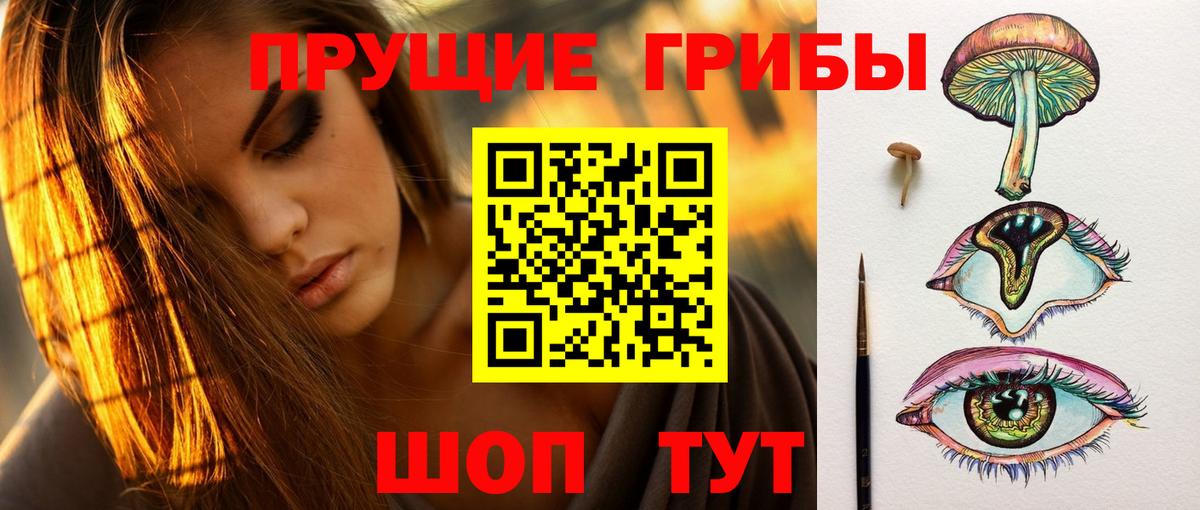 Псилоцибиновые грибы MAGIC MUSHROOMS  Вход с VPN  Зима  Псилоцибиновые грибы Magic Shrooms 
